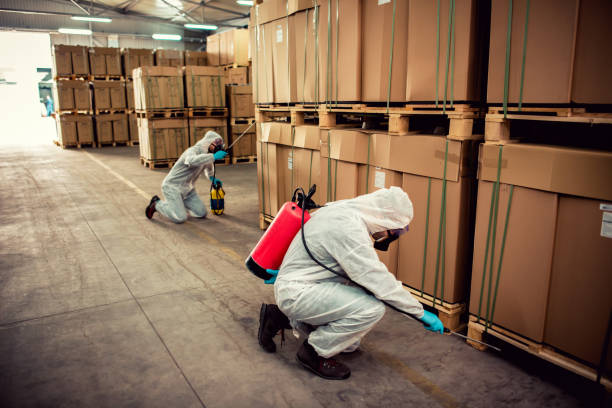 Pest Prevention Services in Long Hill, CT