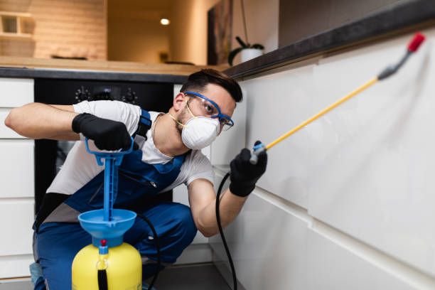  Long Hill, CT Pest Control Pros