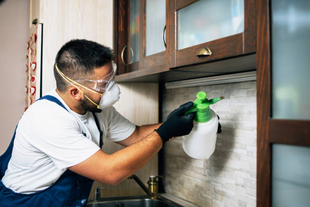 Professional Pest Control in Long Hill, CT