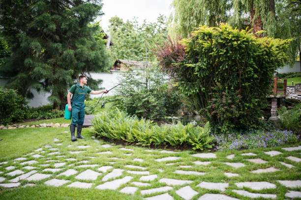 Best Pest Removal Services  in Long Hill, CT