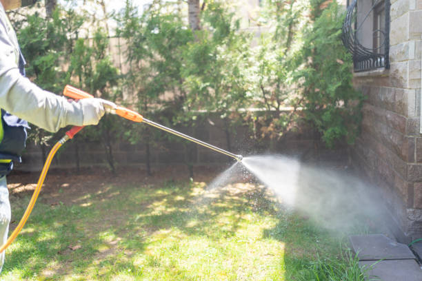 Best Cockroach Control Services  in Long Hill, CT