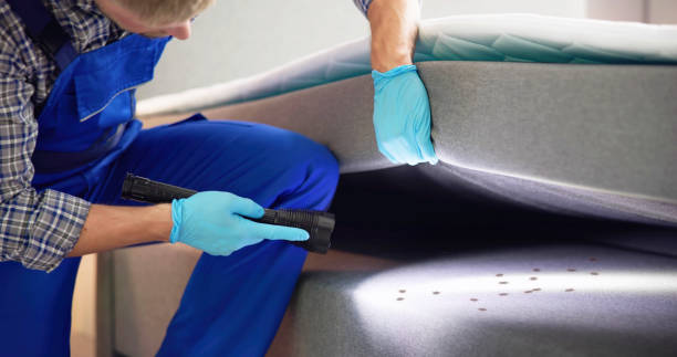 Best Wasp Removal Services  in Long Hill, CT