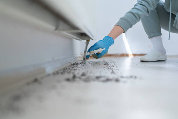 Pest Control for Restaurants in Long Hill, CT