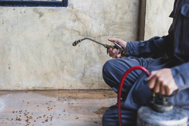 Best Pest Prevention Services  in Long Hill, CT